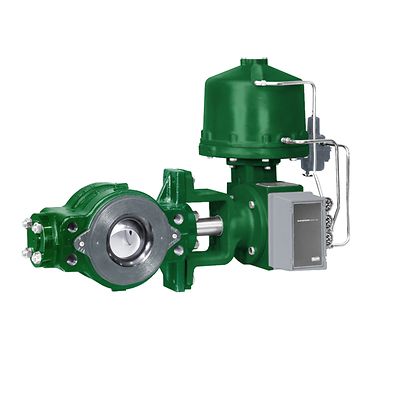 Fisher V250 Valve